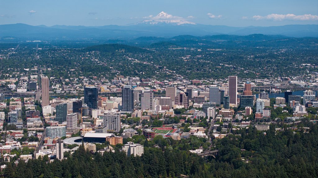 Prominent city view representing Oregon chimney service coverage