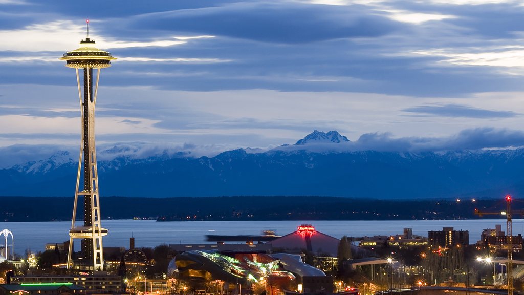 Prominent city view representing Washington chimney service coverage